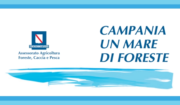 Un mare di foreste